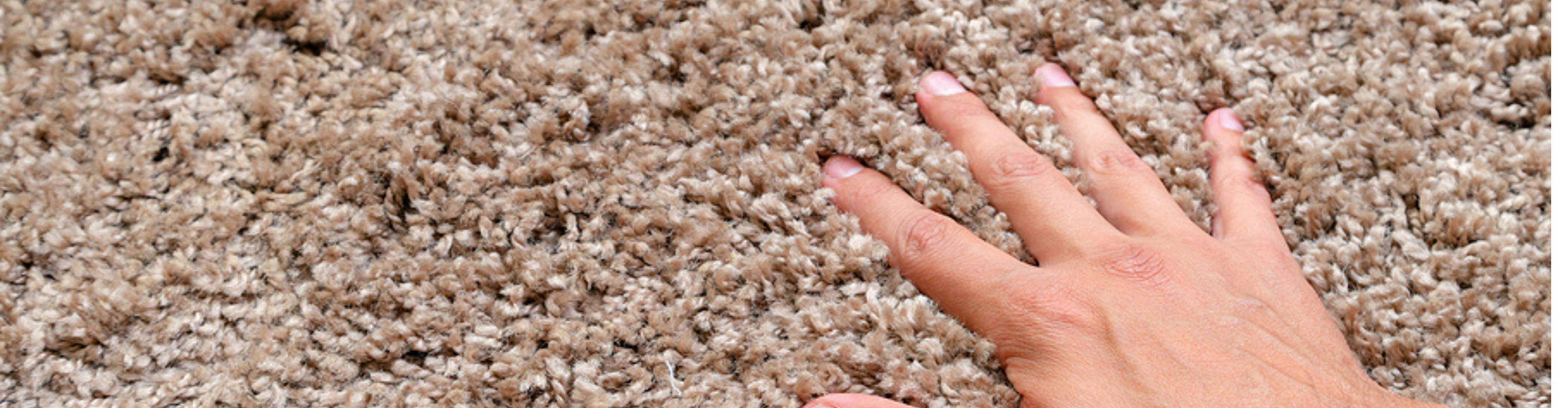 Beige plush carpet closeup shot with hand. 